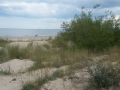 k-20140616_151204