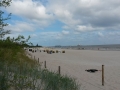 k-20140620_102328