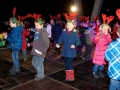 12w_basar2013