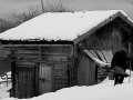 k-20160217_174420