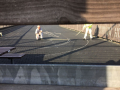 k-IMG_6631